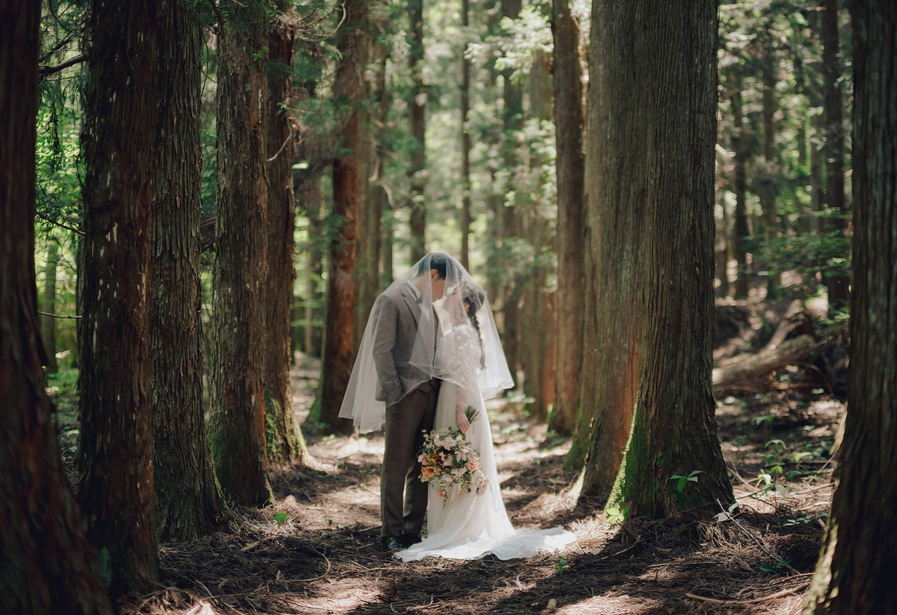 フォトギャラリー