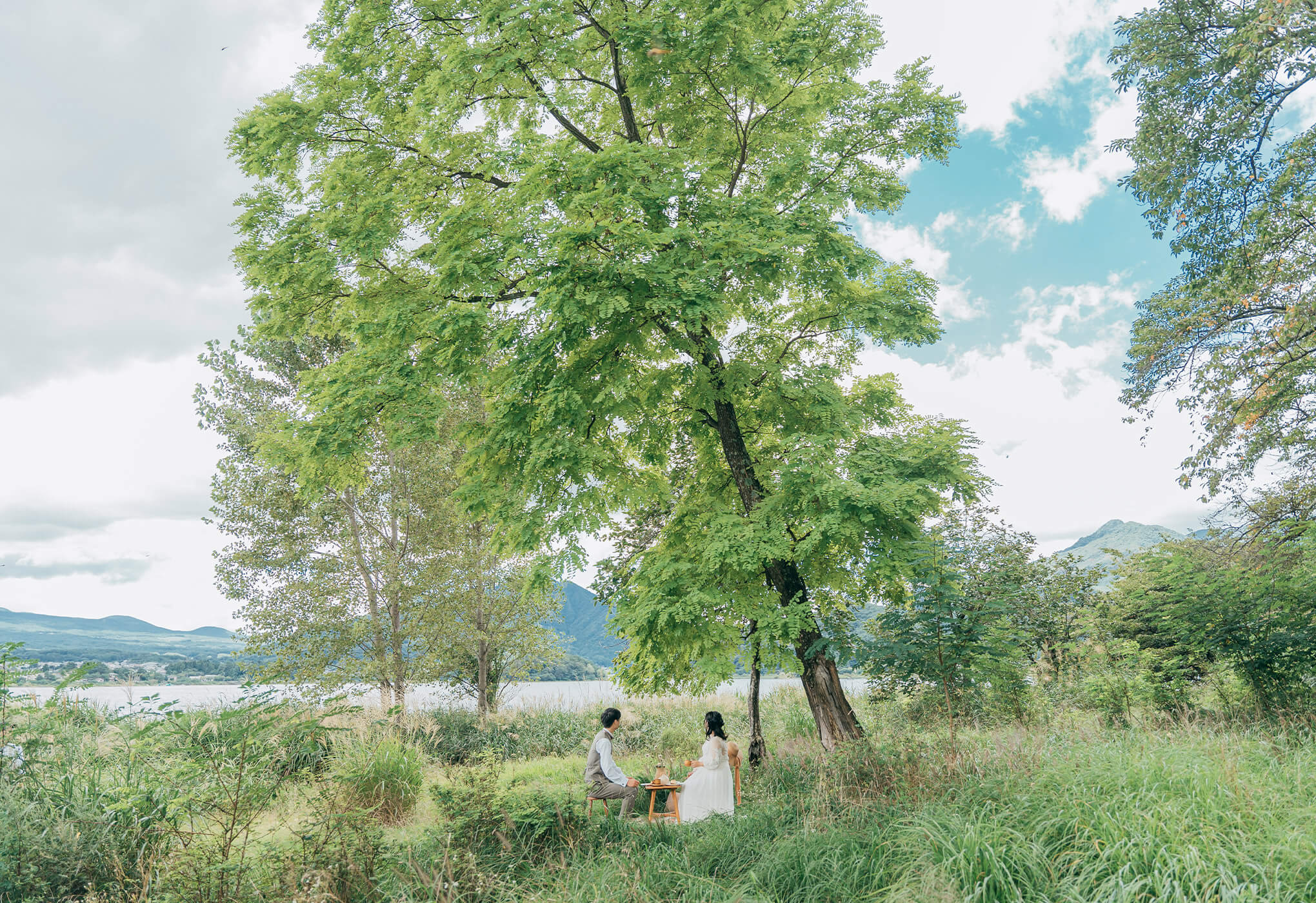 フォトギャラリー