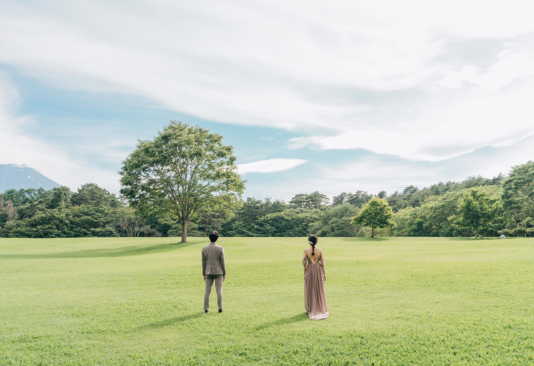 フォトギャラリー