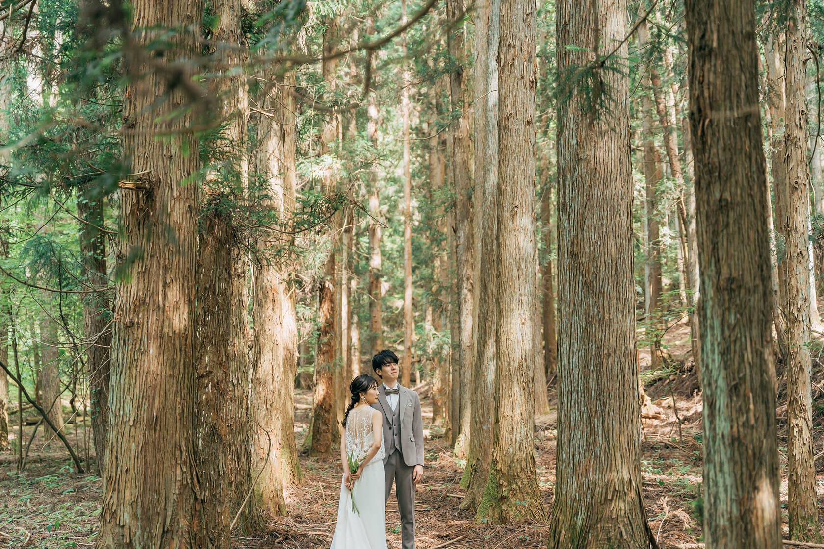 フォトギャラリー