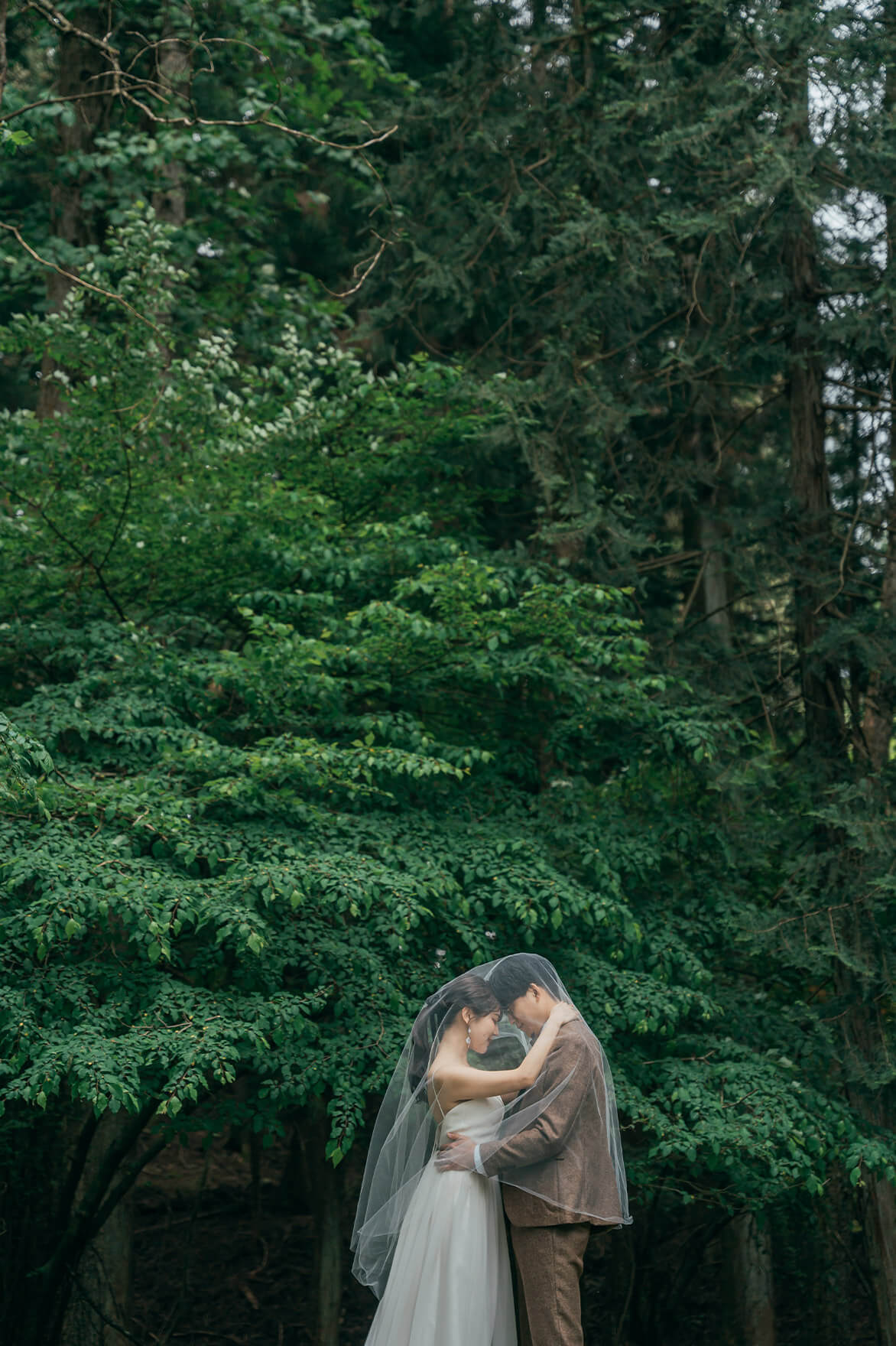 フォトギャラリー