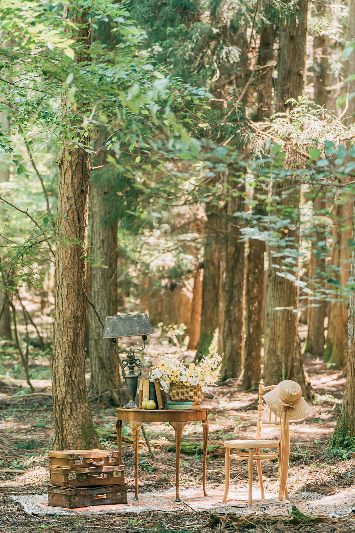 フォトギャラリー