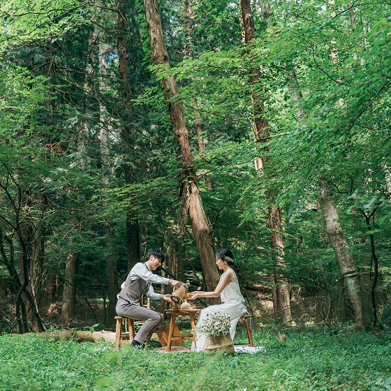 フォトギャラリー