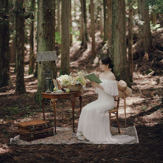 フォトギャラリー