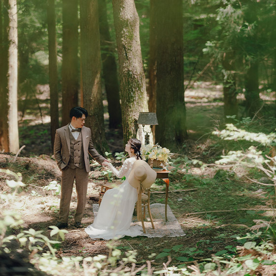 フォトギャラリー