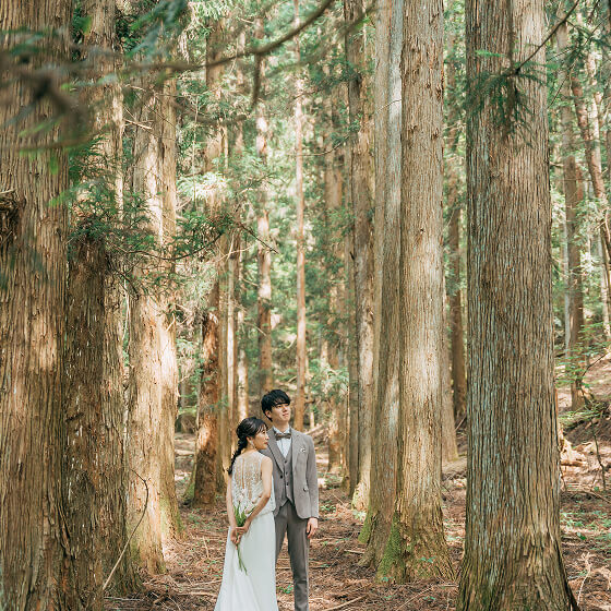 フォトギャラリー