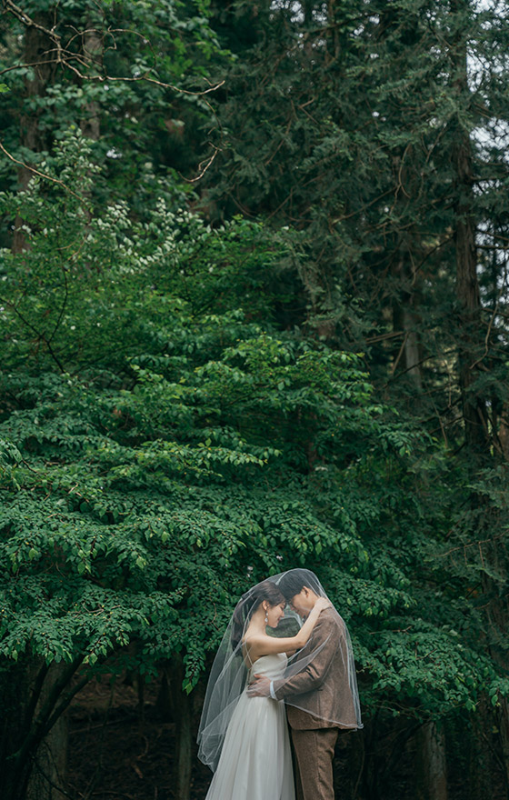 フォトギャラリー