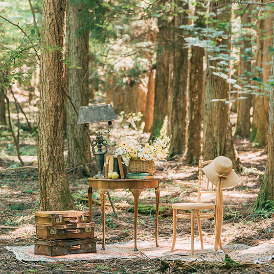 フォトギャラリー