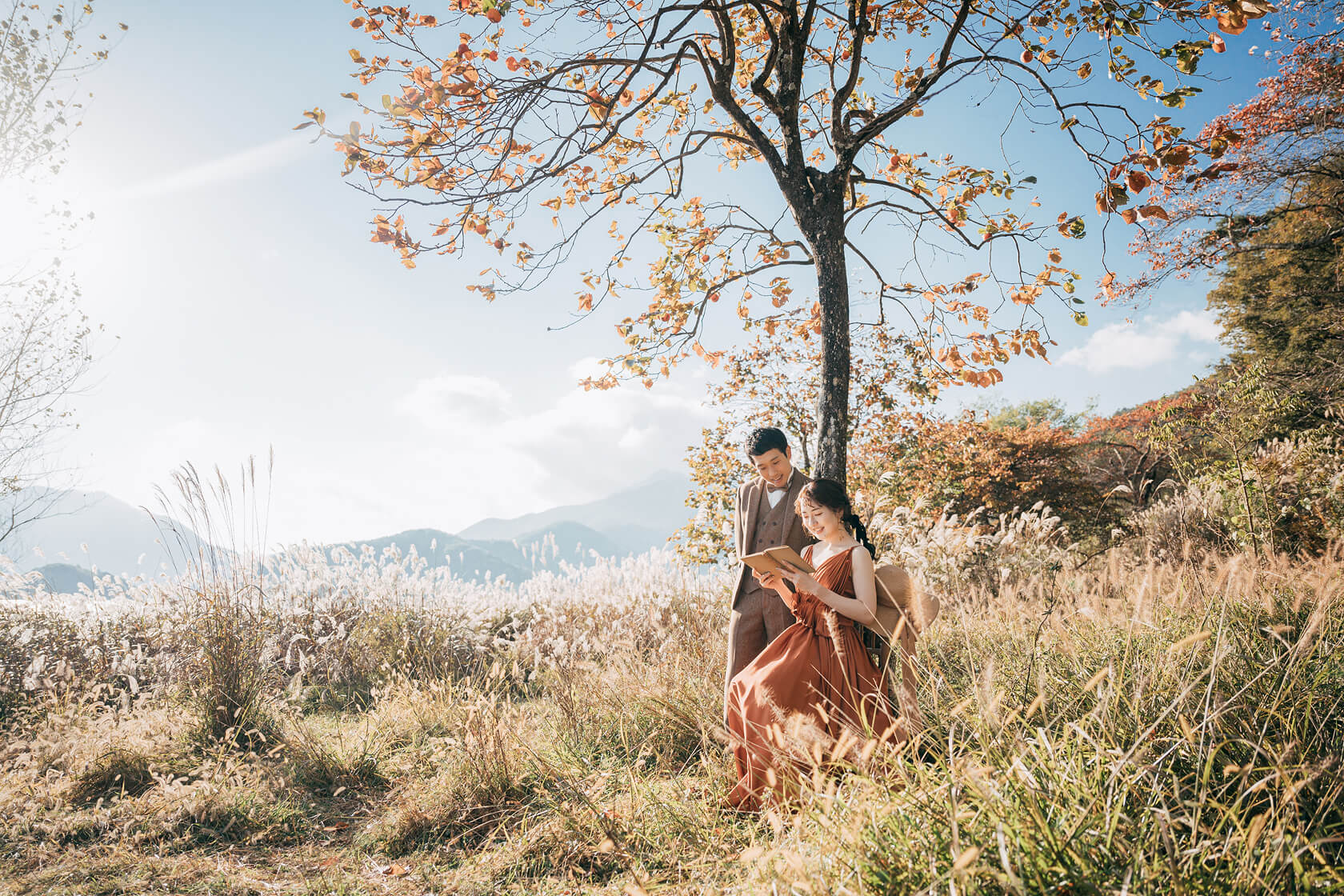 フォトギャラリー