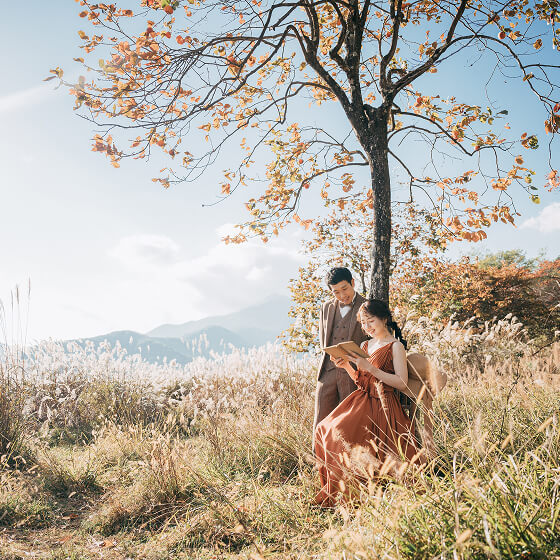 フォトギャラリー