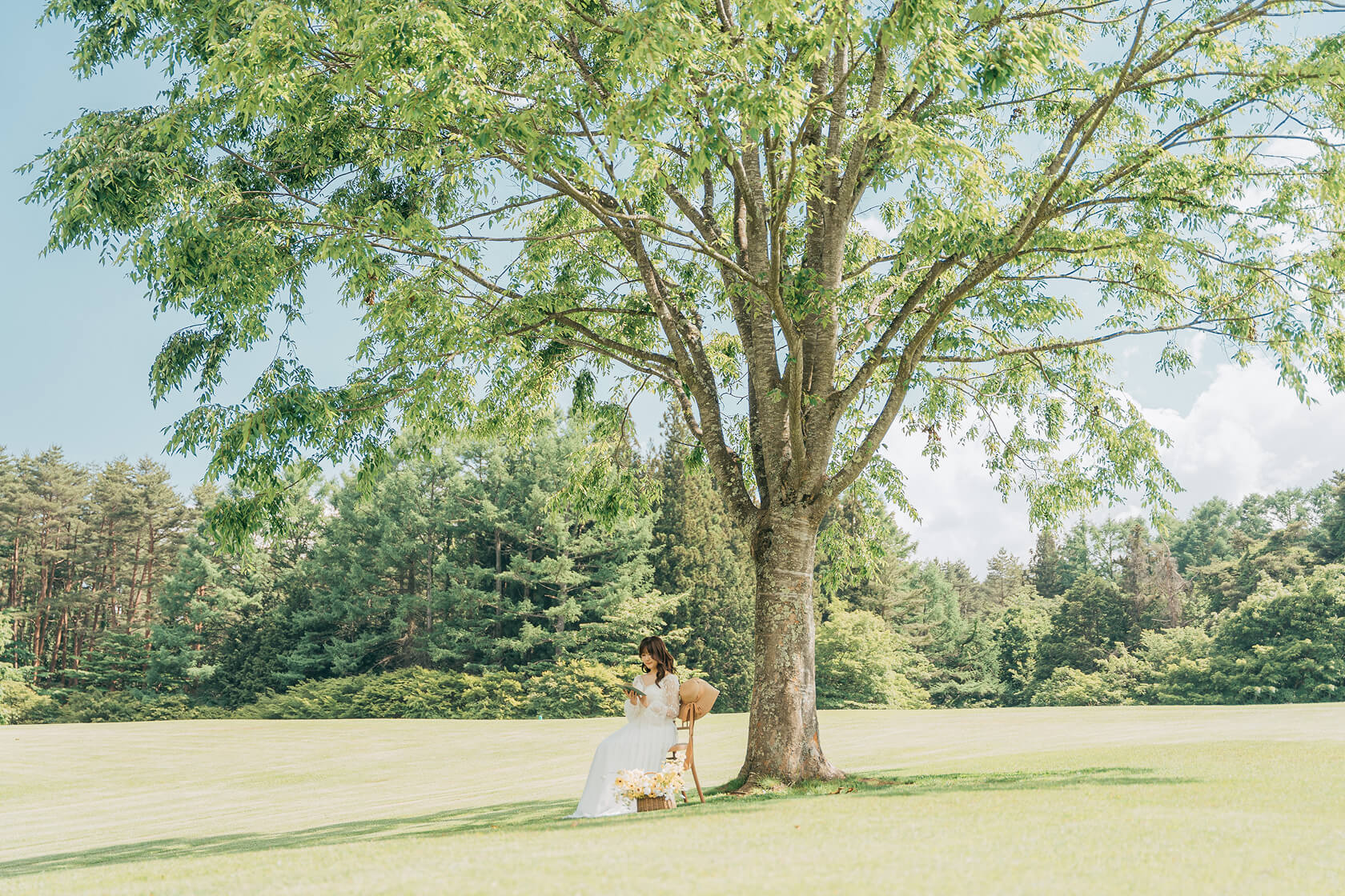 フォトギャラリー