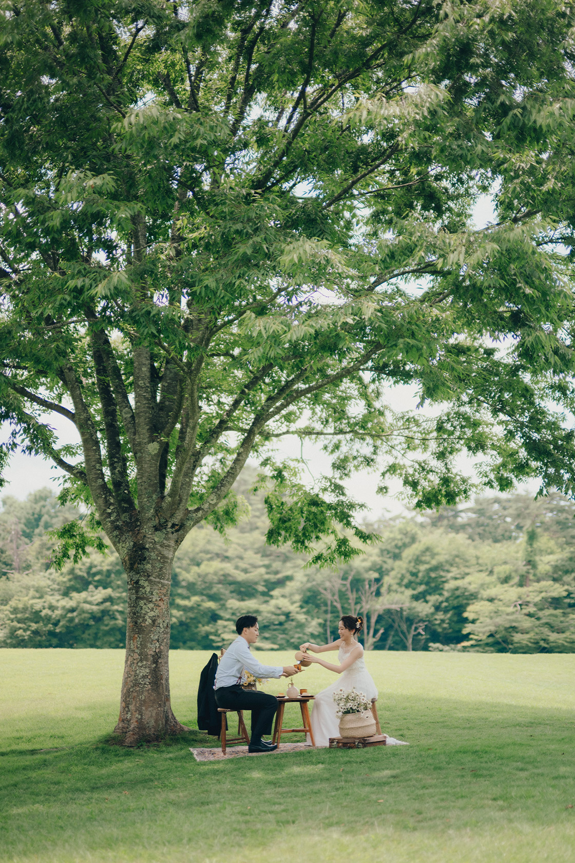 フォトギャラリー