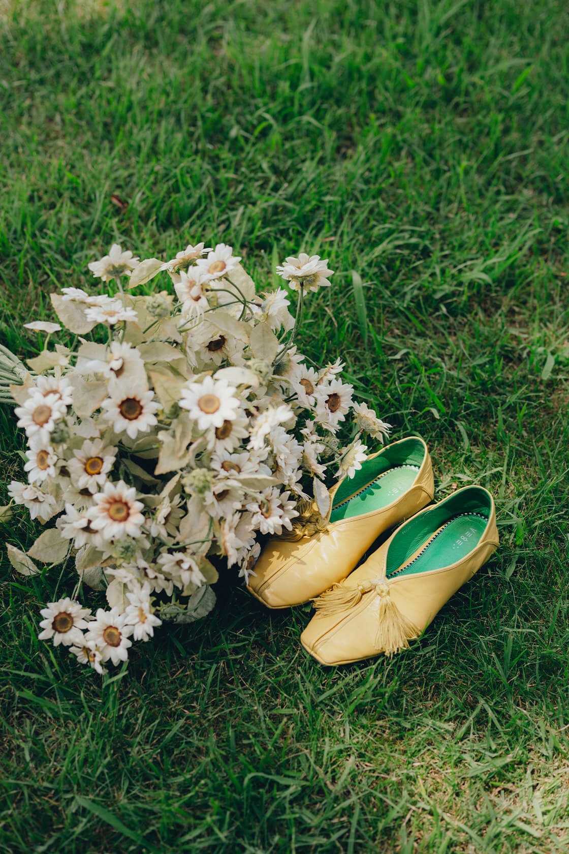 フォトギャラリー