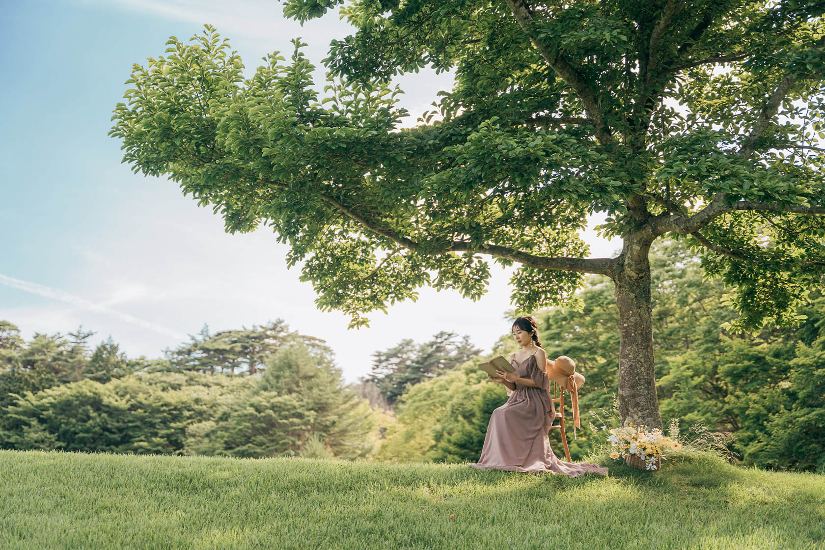 フォトギャラリー