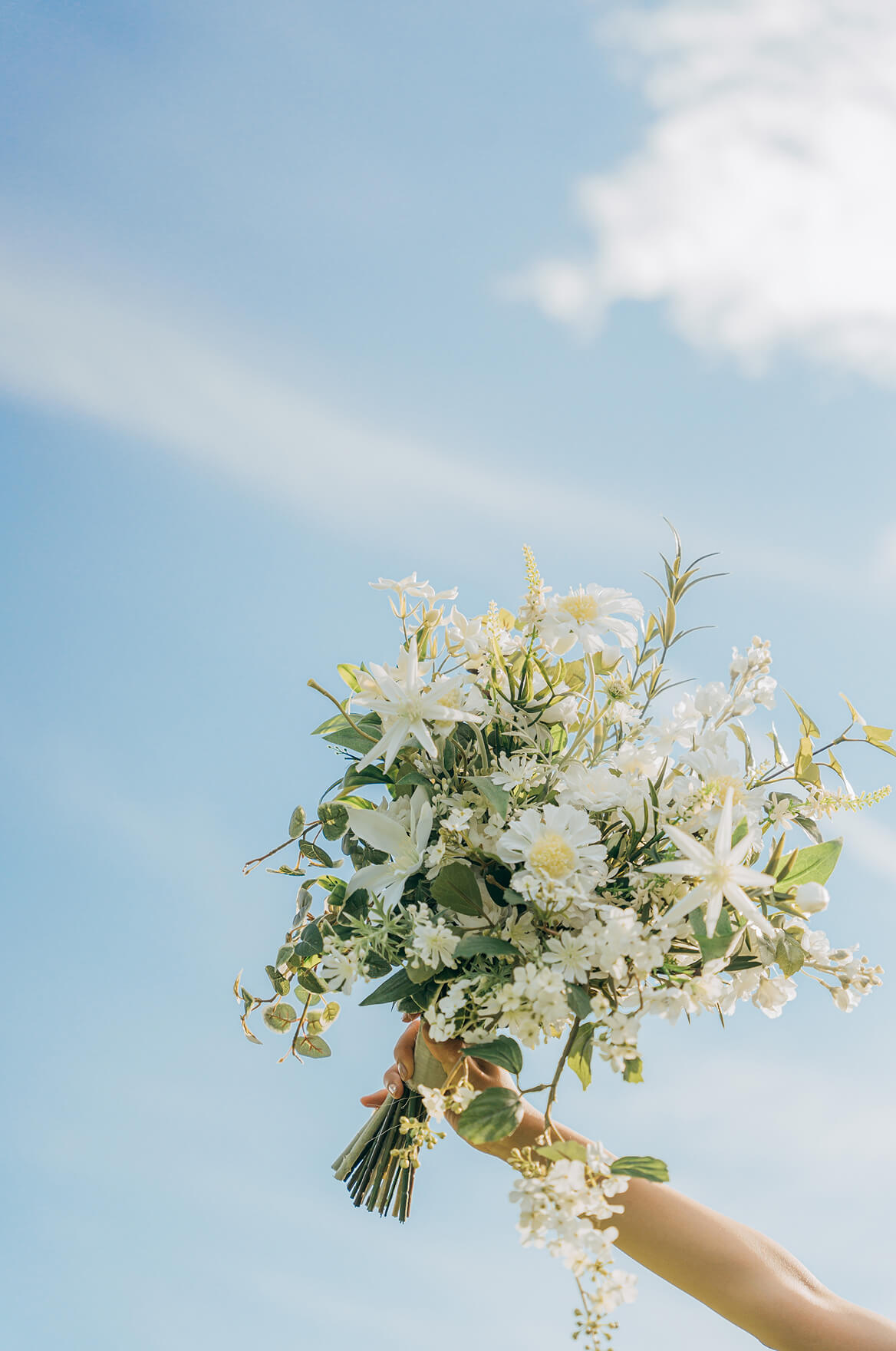 フォトギャラリー