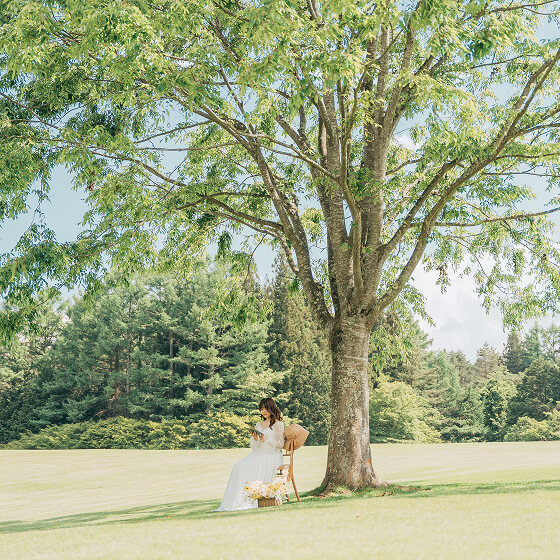 フォトギャラリー