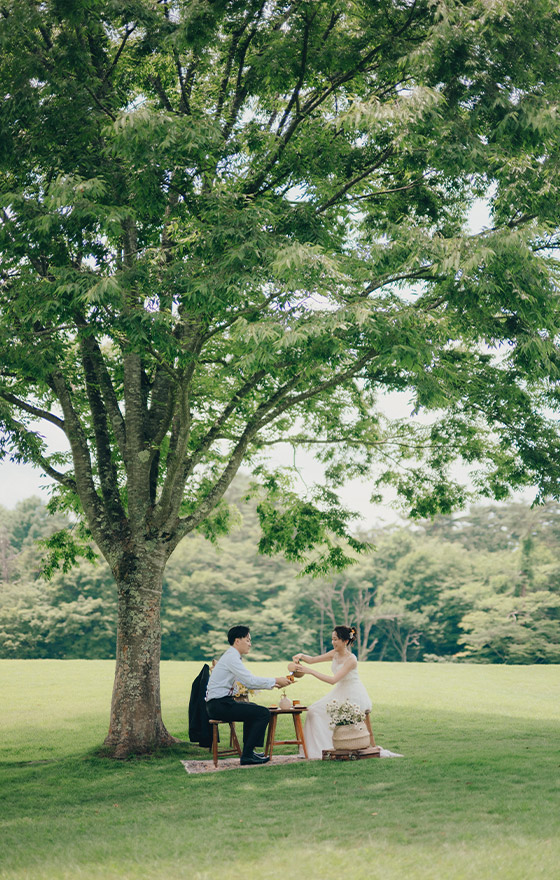 フォトギャラリー