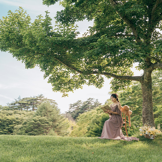 フォトギャラリー