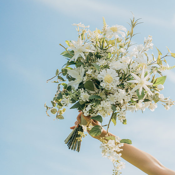 フォトギャラリー