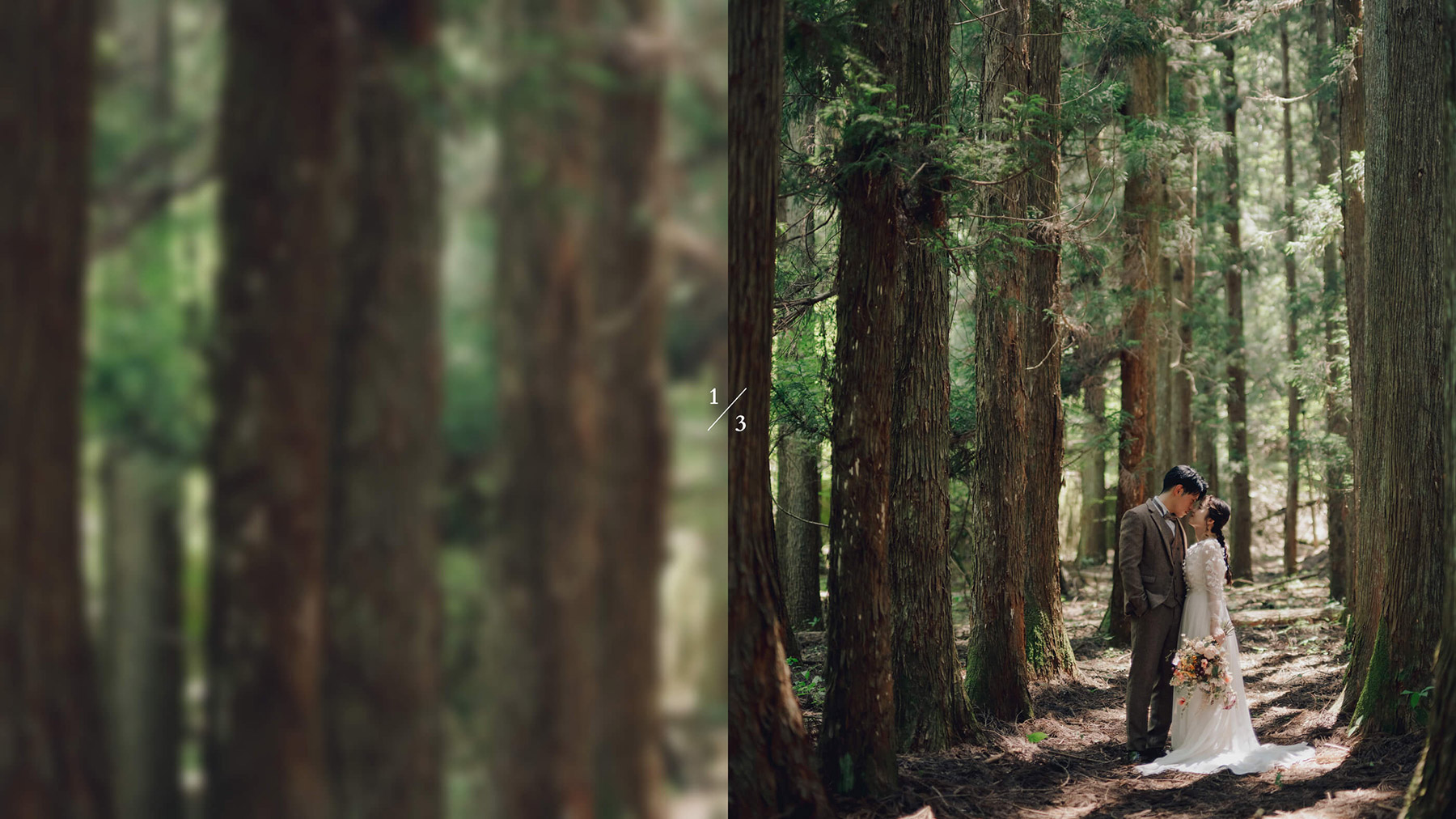 森のロケーション