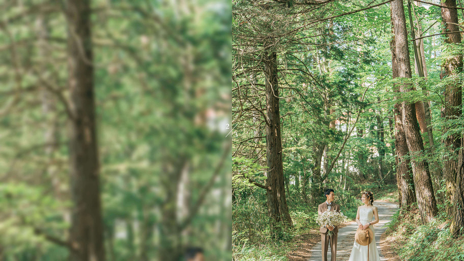 森のロケーション