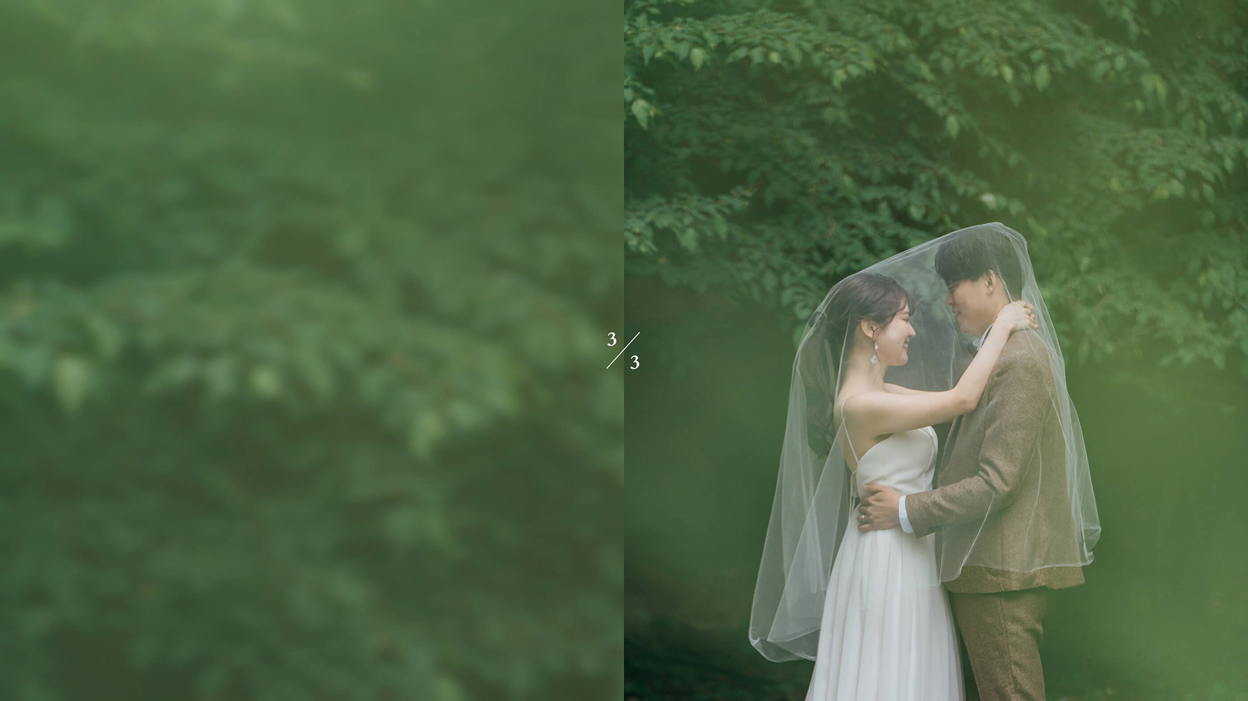 森のロケーション