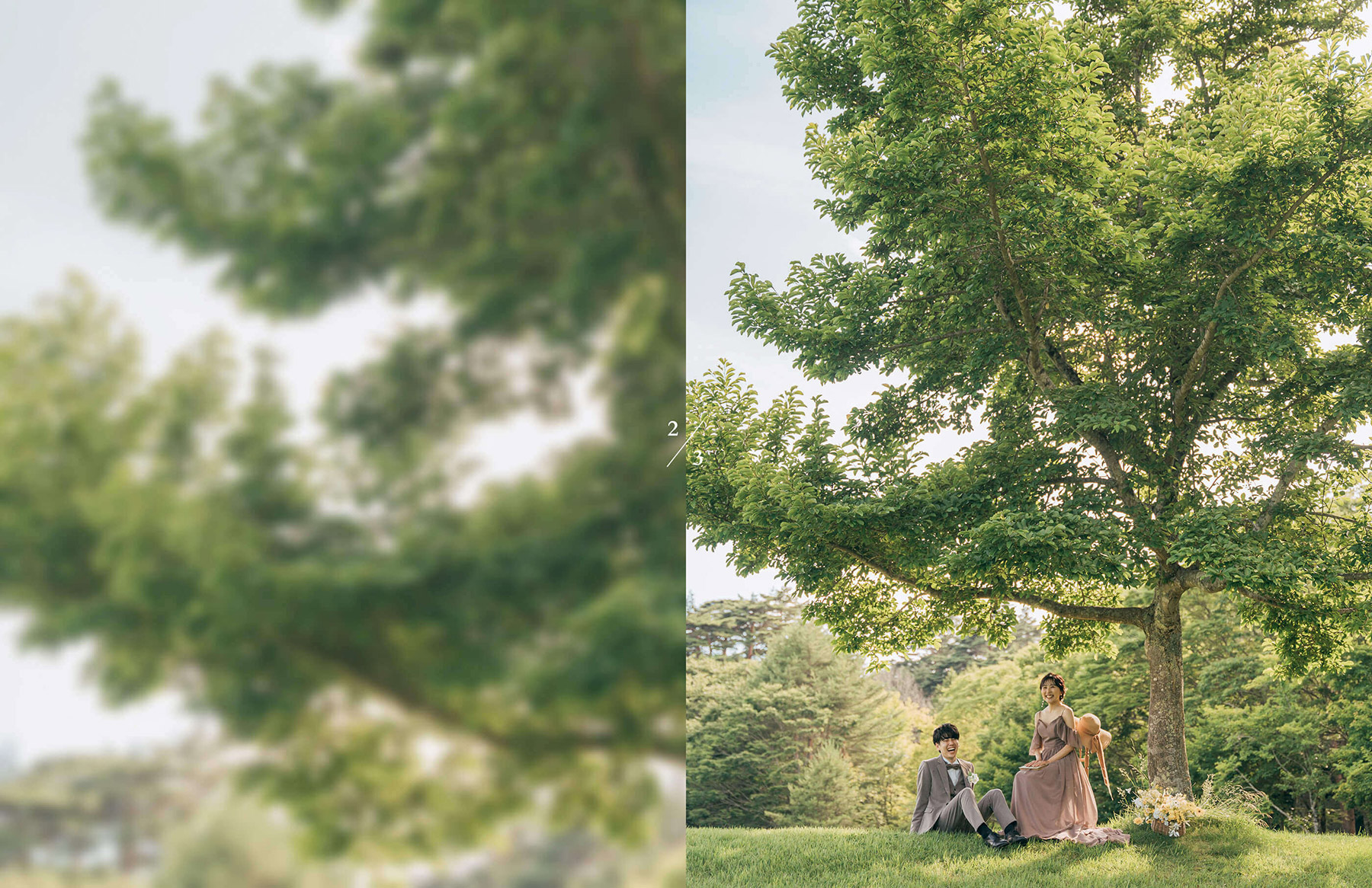 丘のロケーション