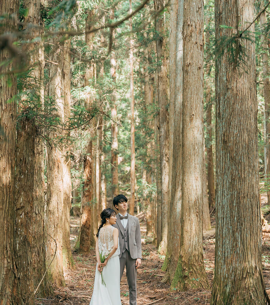 プランのビジュアル