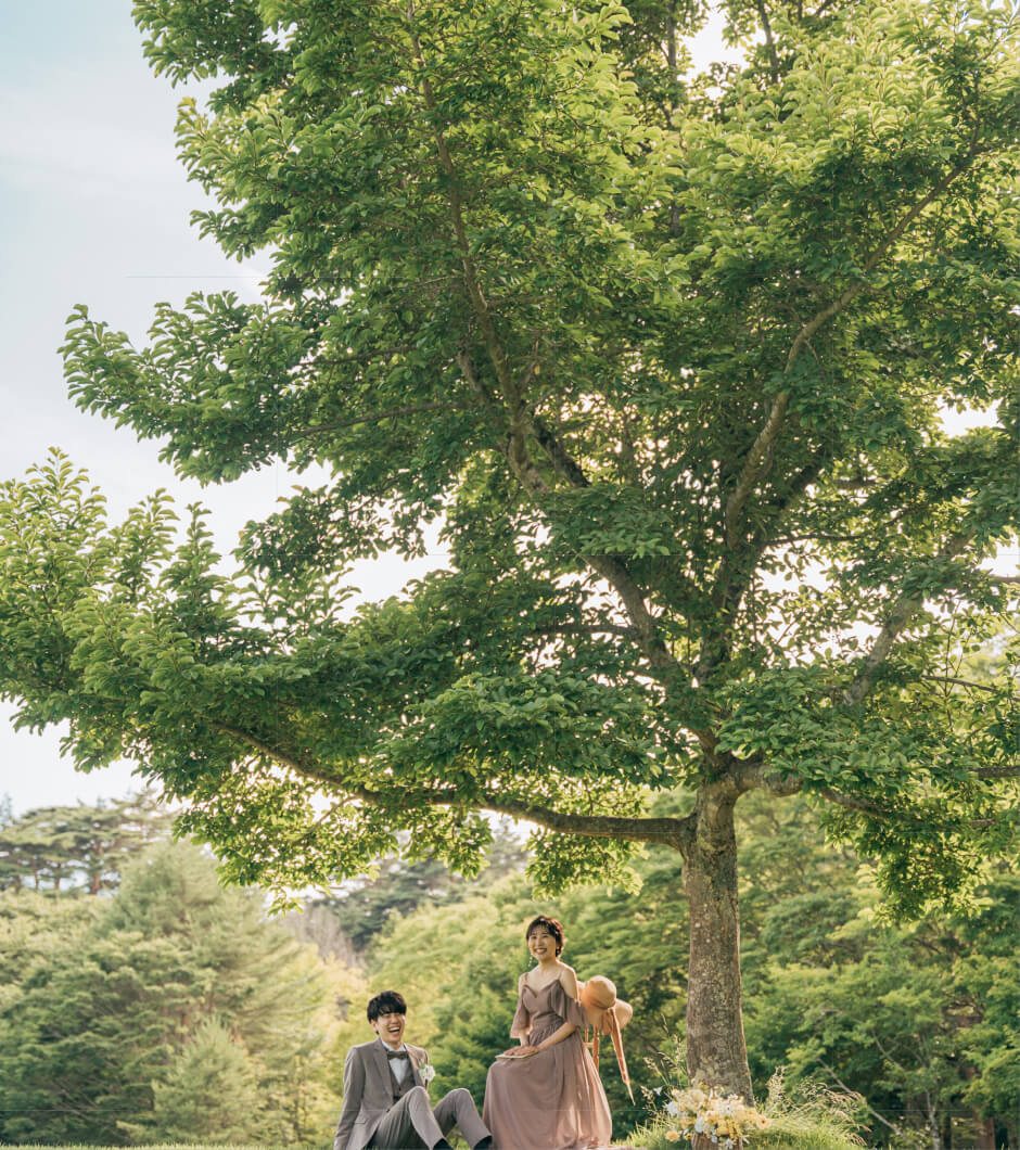 プランのビジュアル